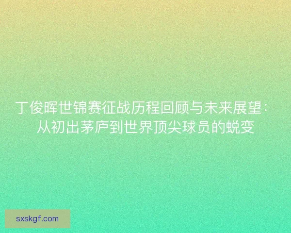 丁俊晖世锦赛征战历程回顾与未来展望：从初出茅庐到世界顶尖球员的蜕变