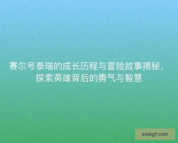 赛尔号泰瑞的成长历程与冒险故事揭秘，探索英雄背后的勇气与智慧