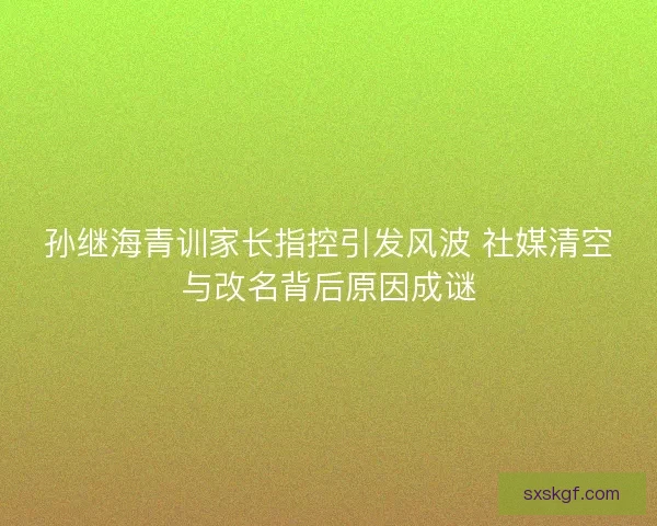孙继海青训家长指控引发风波 社媒清空与改名背后原因成谜