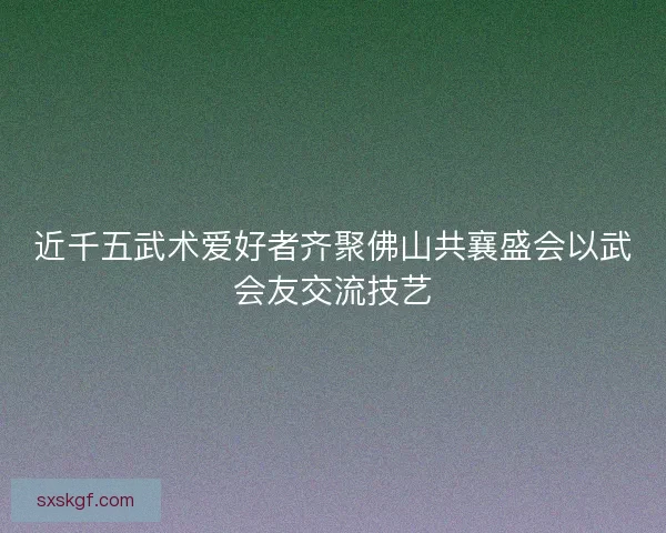 近千五武术爱好者齐聚佛山共襄盛会以武会友交流技艺