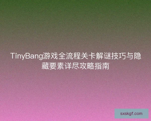 TinyBang游戏全流程关卡解谜技巧与隐藏要素详尽攻略指南